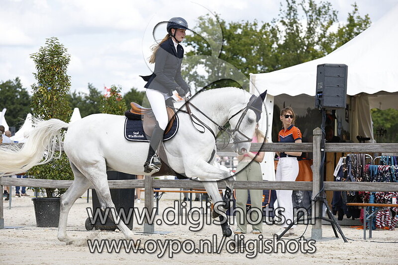 Paarden 1.35 m 2e manche met barrage en prijsuitreiking