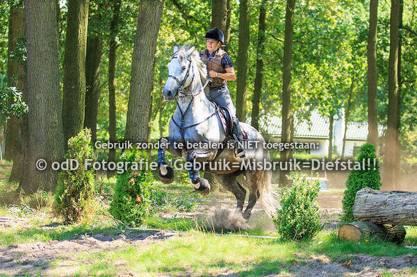 Training Margo van Nijnatten Millstream Groep 3 14.00 26-07-23