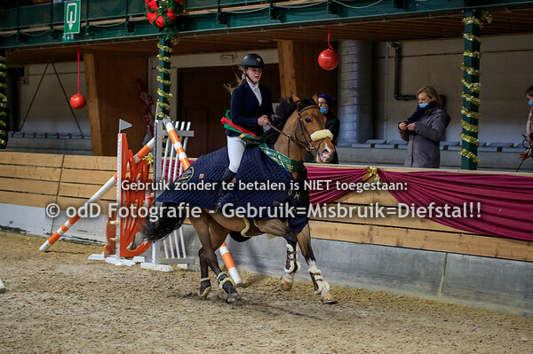 NY Jumping Warredal Finals 95cm 09-01-22