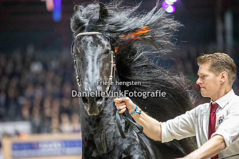 Hengstenkeuring 2023 Jouwe 485