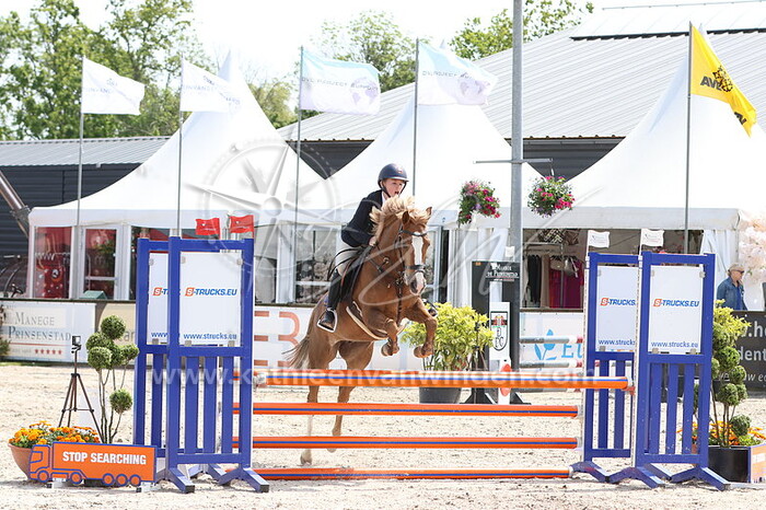 Wim Vos - Little Gun S