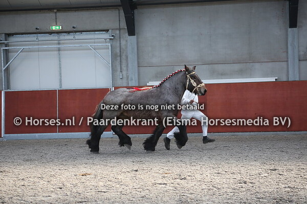 40 Fleur vant Nieuwveer (v. Casanova van de Kannelust x Mara van de Roshoeve)