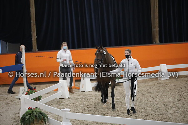 385 (Ferdinand x Charmeur)