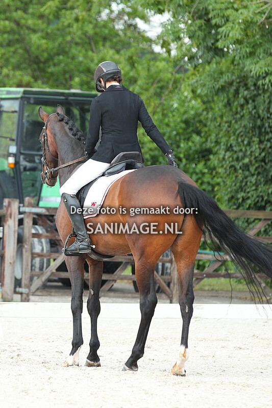 Jumping Tolboom 27-05-2025 Dressuur Ring 2 13.50-15.00 uur