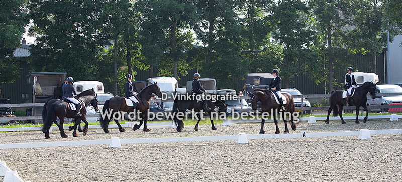 Koudbloeden wedstrijd Ammerzoden 09-06-2018