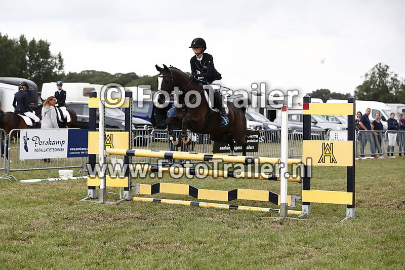 angelique van der weele