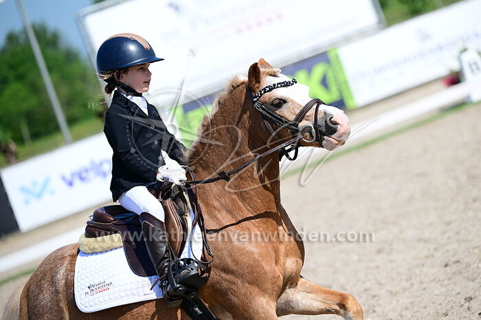 Dani Duijndam - Powys Frenchie