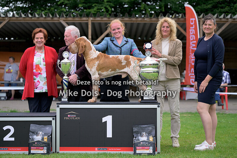 Brabants Rashondenfestival