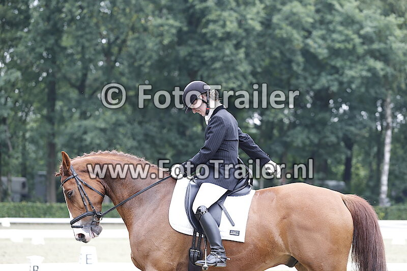 NN Anky Dekje Ring 1