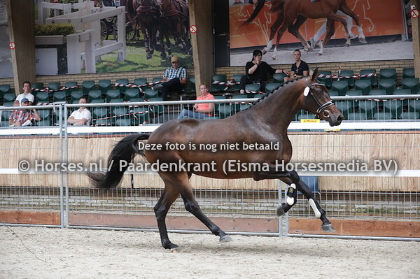 307 Majresia (Governor x Faresia v. Rousseau)