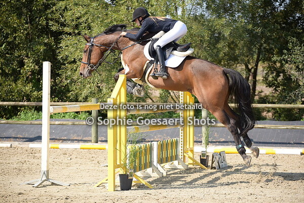 Serie 2 - 120 - 1e halve finale