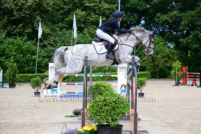 Estelle Singerland - Contador Z