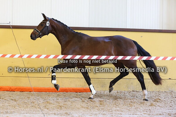 18 Senzzamiek (Next Level x Azamiek. v.Tolando)