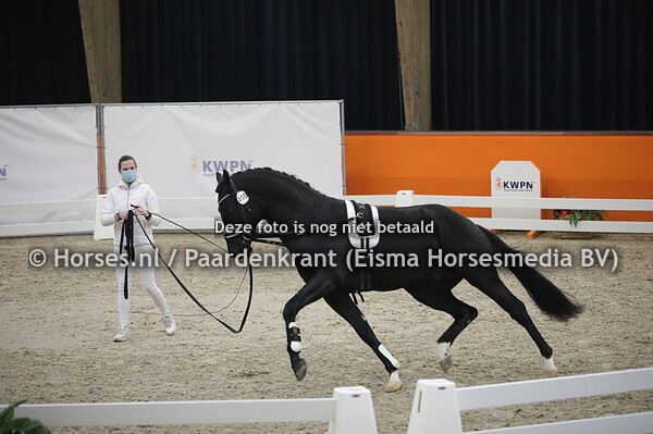 410 (Franklin x Contango)