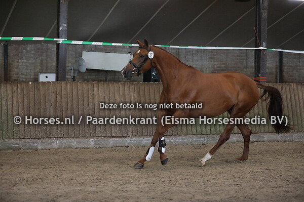 27 Mienedine. (Johnson x Wodine v. Negro)