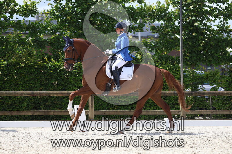 Nightstar van de Kempenhoeve