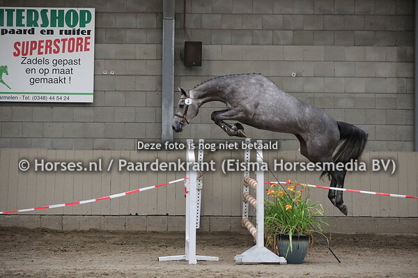 2 Marbella (Hermitage x Whinny v. Carambo)