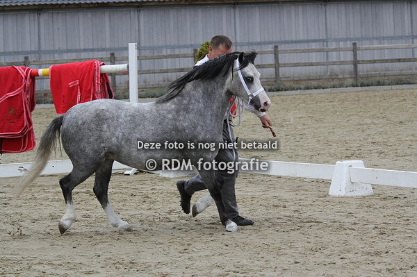 welsh keuring 2025 eerste deel namiddag