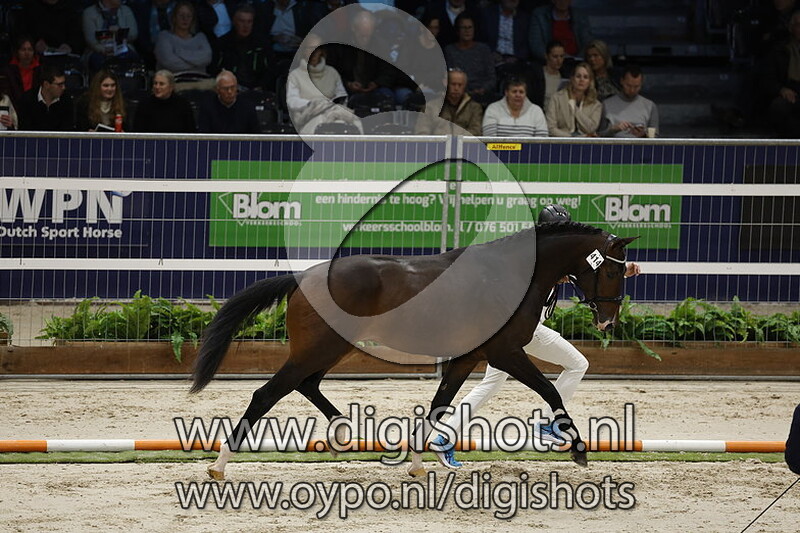 Royal Design v. Jameson Rs2 - 414