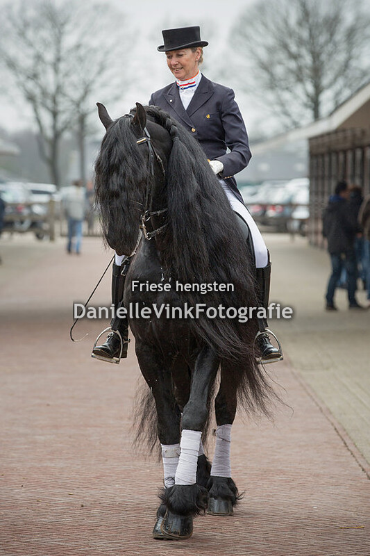 Hengstenshow Lunteren 02-04-2018 Uldrik 457