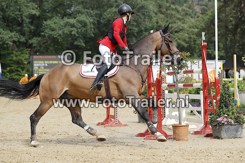 Noona Wildfang Linde