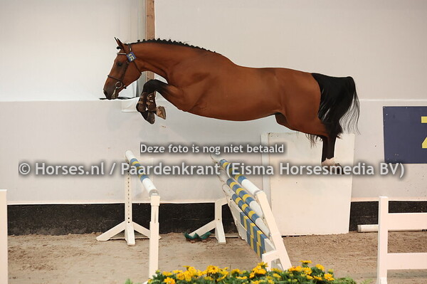 23 Davione van't Gebergte) Dourkan Hero x Cappucino JW)