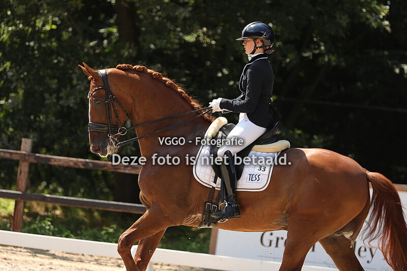 Ring 1 ZZ-Licht Paarden Finale