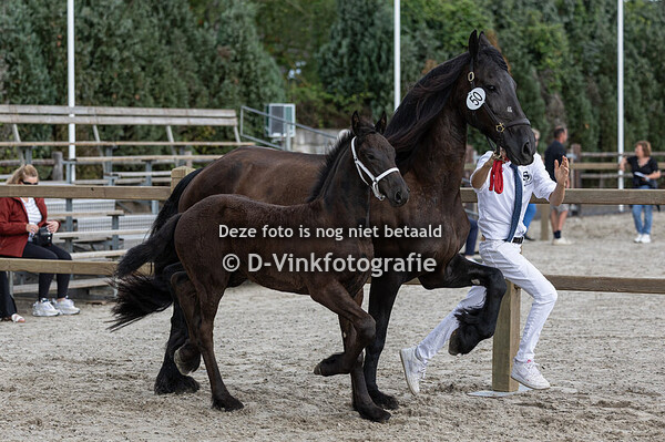 50. Florus van de Heintjeshoeve