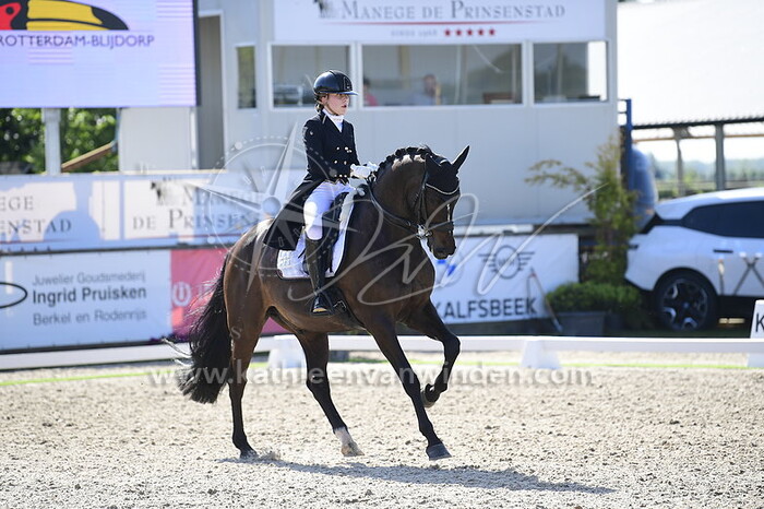 Balou Bontekoe - Downtown