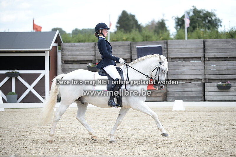 Pony Individual Test