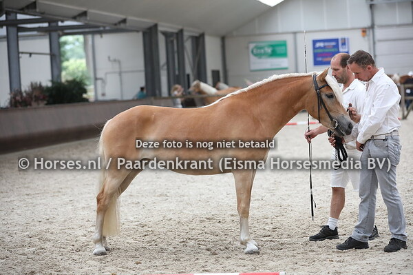 64 Silvia van Startman (Schach x Sonja)