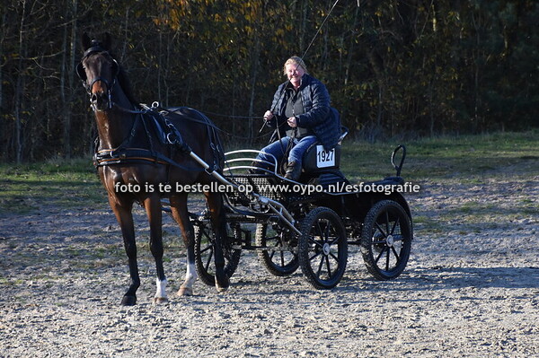 3-11-2024     Drents Friese Woud