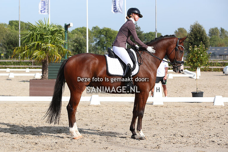 Zilfia's Hoeve Dressuur 01-10-2023 Paarden/Pony's M