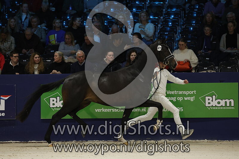 Nn v. Dancier Gold - 321