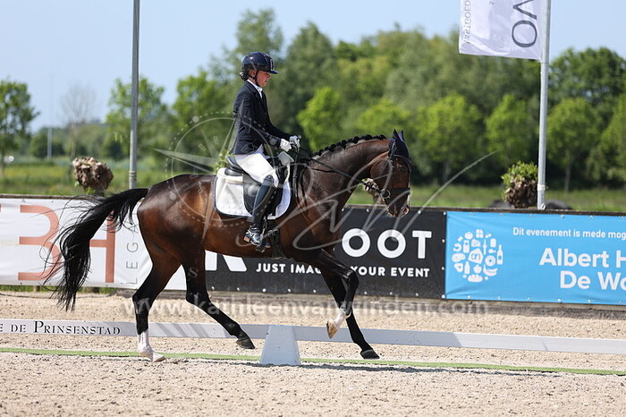 Demi van Lingen - Karesia WD