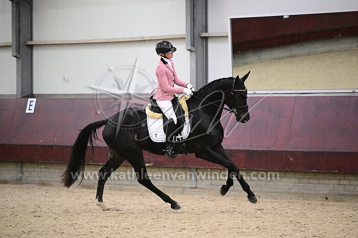 Meghan Muhlebach - Soniki