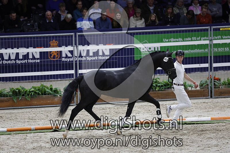 Renoir v. Le Formidable - 463