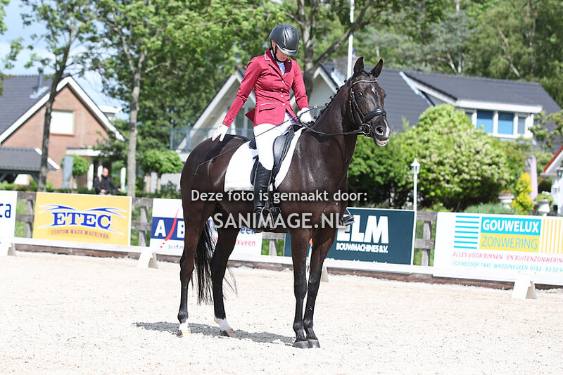 Reigersburgh 27-05-2022 Dressuur Paarden  L1/L2