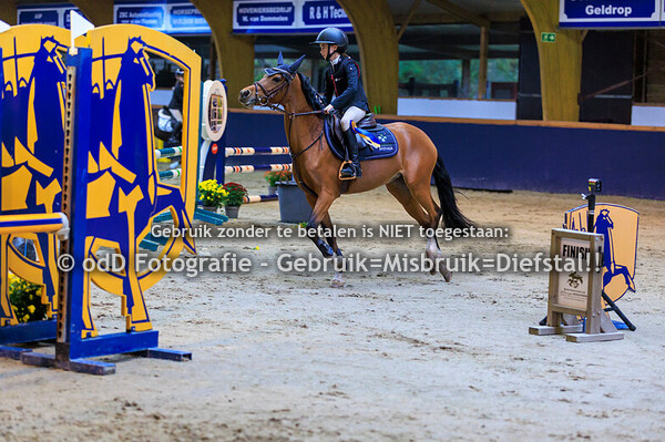 Geldrop Hippique pony 80c  11-10-25