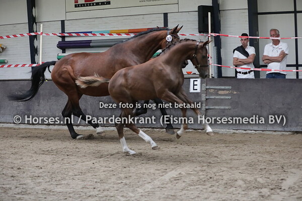 89 Poche's (Daily Diamond x Tresor v. Jazz)