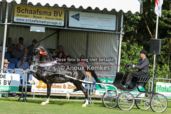 Regionaal Noord - TP  Competitie Finale