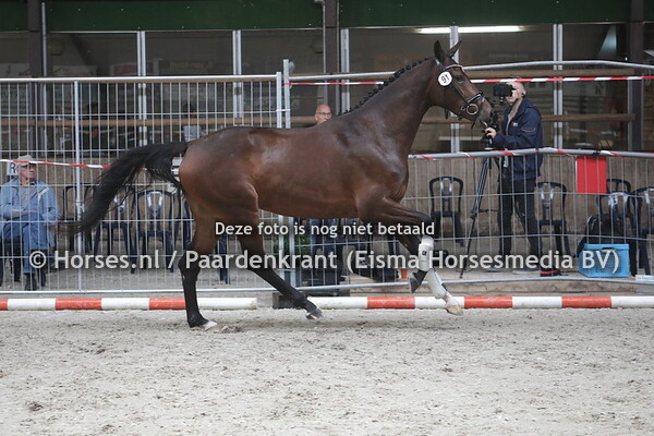 91 Mara-Utopia (Guardian S x Grace-Utopia v. Jazz)