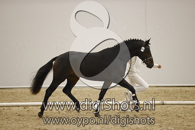 Native Rubin v. Rubin Royal