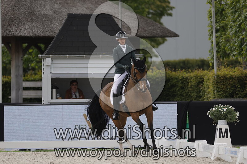 Olanda van de Kempenhoeve