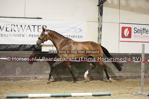 80 Katinka (Capri Sonne x Tatina v. Goodtimes)