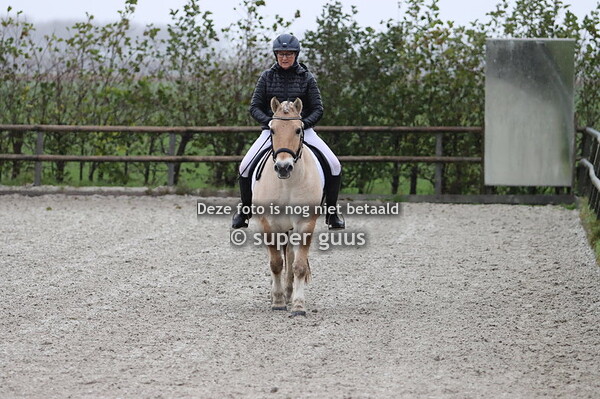 Clinic Numansdorp 28-11-2021