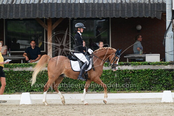 Evelien Copier - HSH Kingston