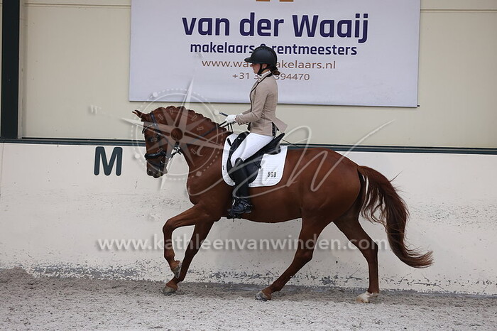 Liza van Hoorn - N'Ferrero