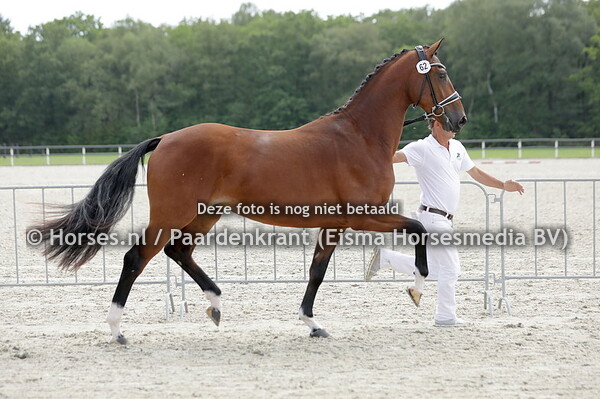 14-07-23 STB en CK Friesland Dressuur