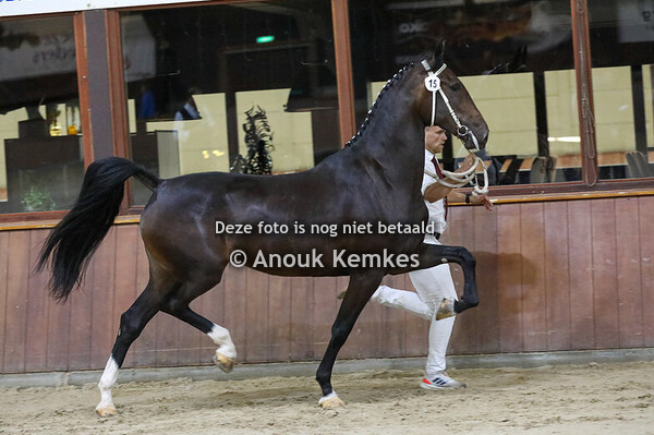 Rolinde ( Kane BFT x Manno )